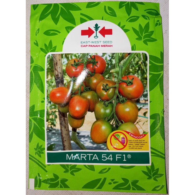

Tomat MARTA 54 F1 isi 1750 butir