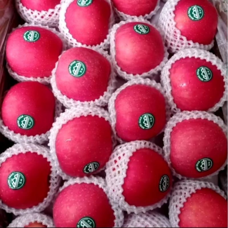

Buah Apel Fuji Whan Shan 1Kg