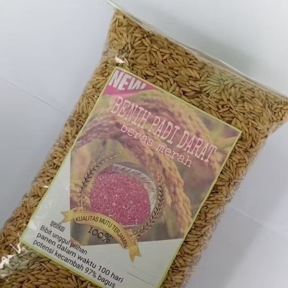 

Gabah padi huma padi darat beras merah 1 kg