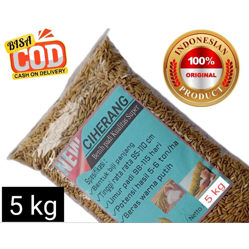 

Gabah padi Ciherang padi beras putih kemasan 5 kg