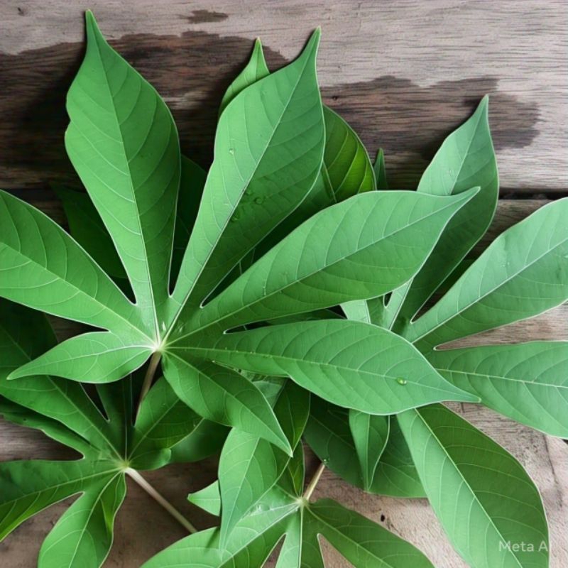

Daun Singkong Segar Fresh Lokal Berkualitas Untuk Gulai dan Sayur