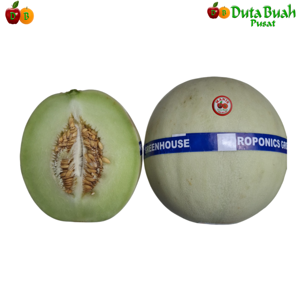 

Duta Buah Melon Honey Globe ±700g-1000g