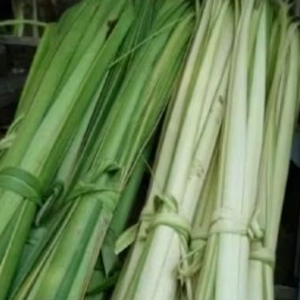 

daun kelapa muda/janur 1kg