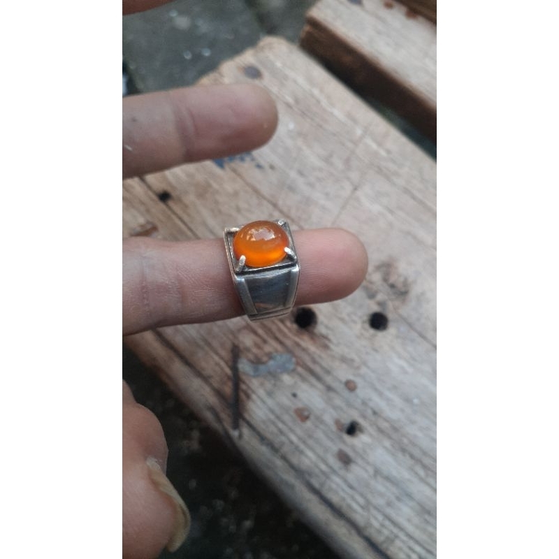 bacan obi neukleus orange