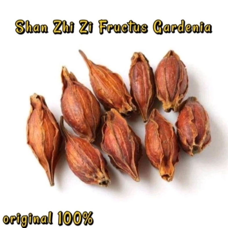 

San Zhi Zi/ Shan Zhi Zi 100 gram / Shanzhizi /Fructus Gardenia Cape Jasmine Fruit 100 gram 山栀子 山枝子 枝子
