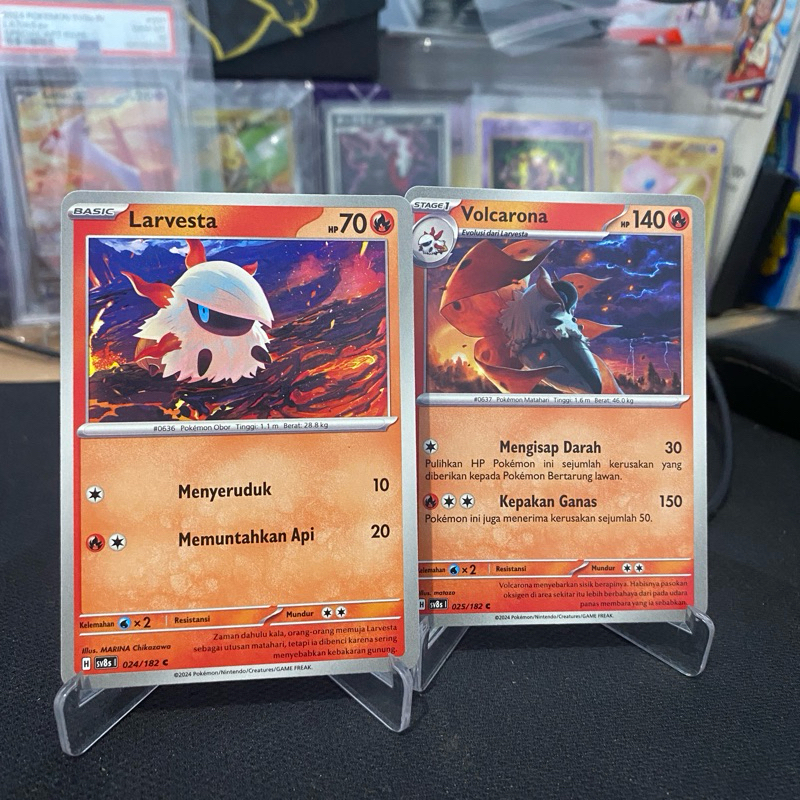 Set Evoline Larvesta • Volcarona TCG Pokemon Indonesia