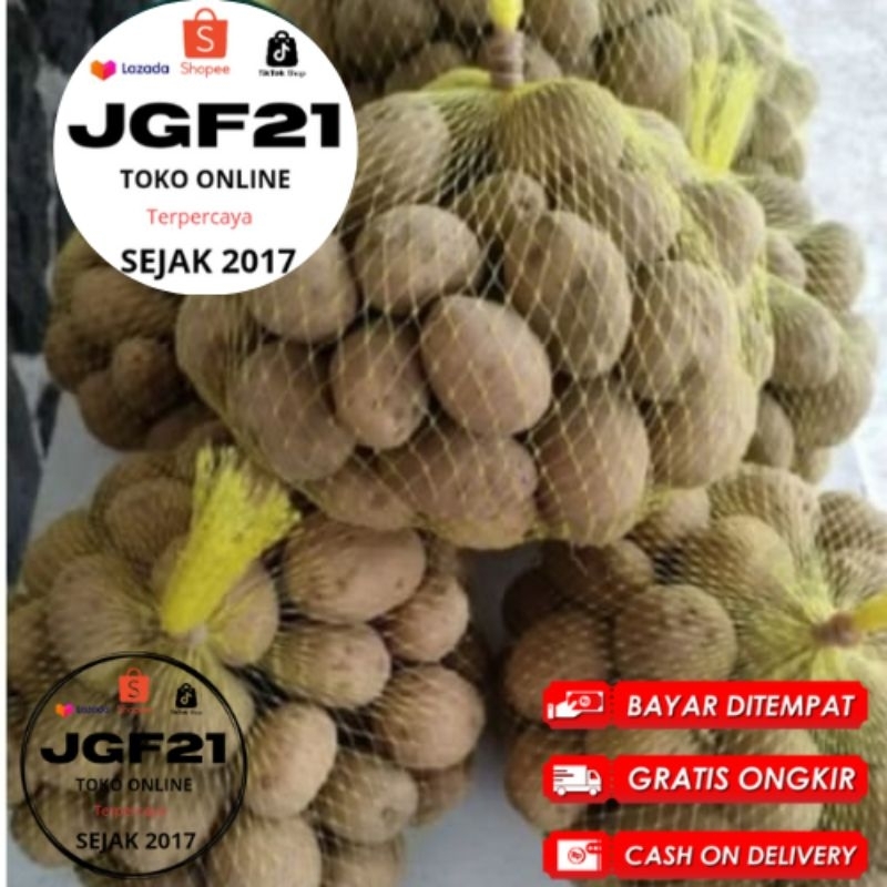 

Bisa COD Termurah No.1- 500Gr kentang dieng Medium Buat stok Rumah makan, warteg bahan dapur