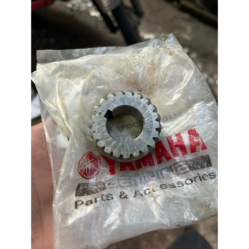 GIGI PRIMER YAMAHA V75 ORIGINAL