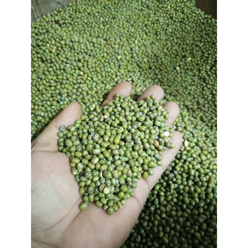 

KACANG HIJAU BUBUR Kualitas Super Import 1KG