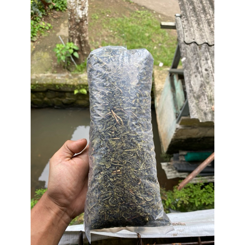 

Daun teh hijau kering 300gram cocok untuk program diet teruji ampuh