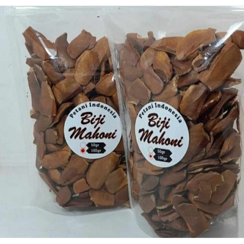 

biji mahoni segar obati diabetes kesuburan malaria darah tinggi dan menyapih bayi