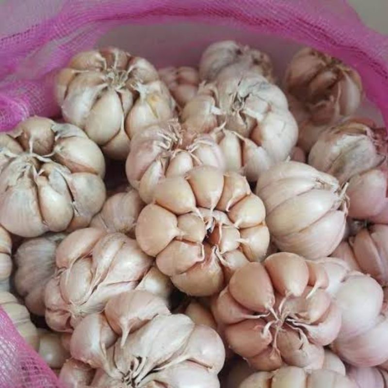 

BAWANG PUTIH SINCO /BIASA 500g TERMURAH