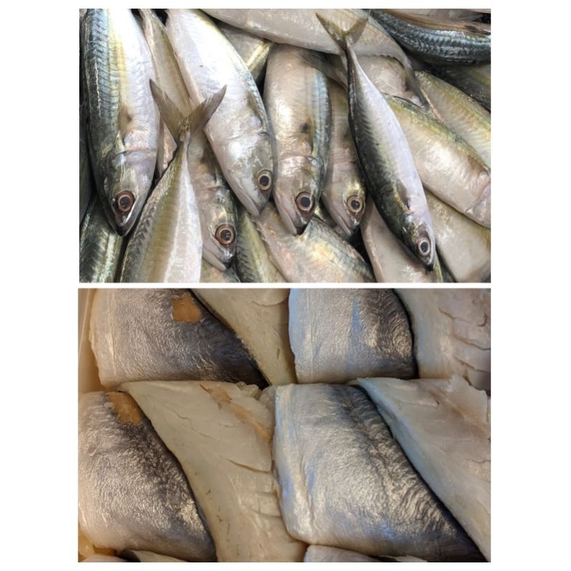 

Ikan Kembung Mackerel Filet 250 Gram