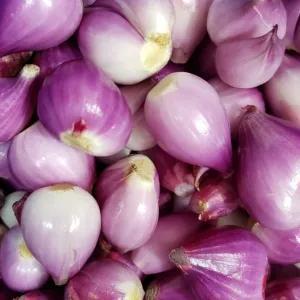 

bawang merah kupas 500 gr