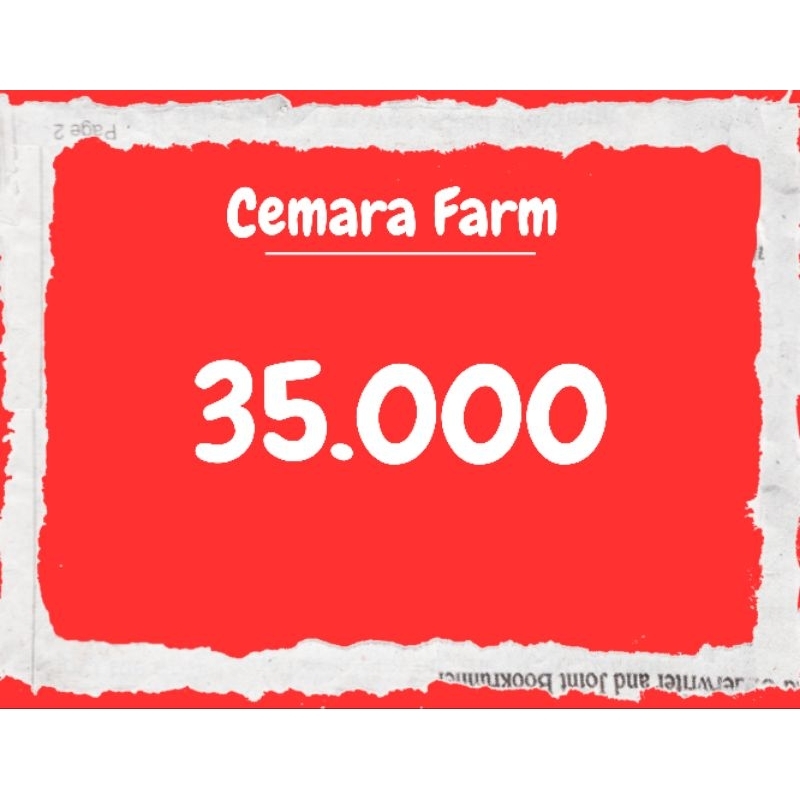 EKSTRAK DAUN KETAPANG OLAHAN 35RB