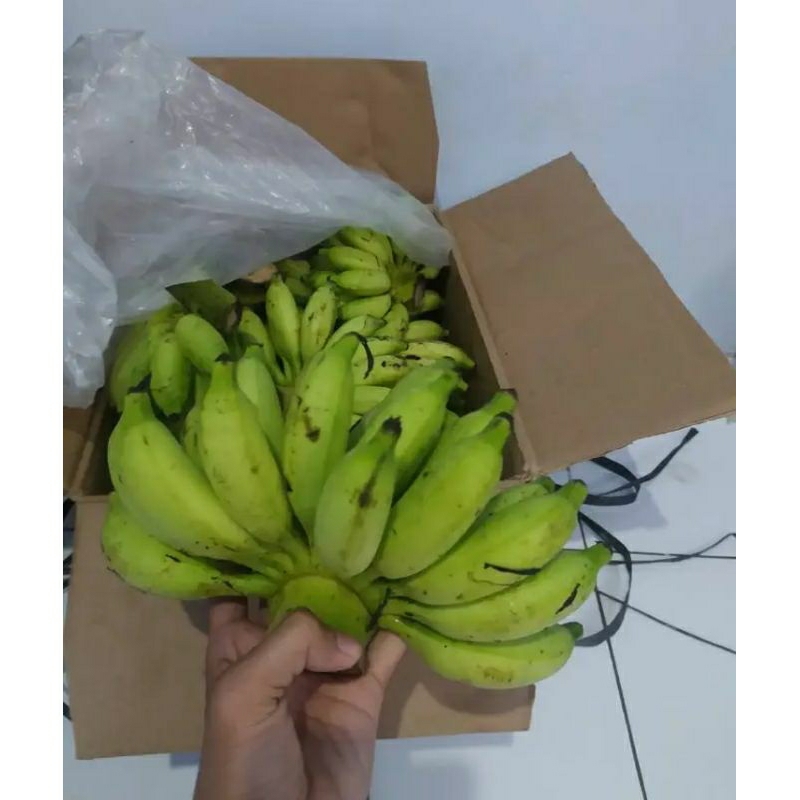 

pisang Ulin/barlin 1 sisir