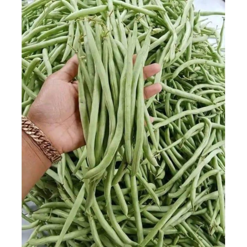 

buncissegar