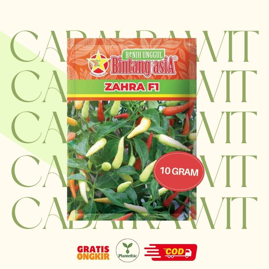 Benih Biji Cabe Pedas Cabai Rawit ZAHRA F1 Cap Bintang Asia Kemasan 10gr PT. BENIH CITRA ASIA