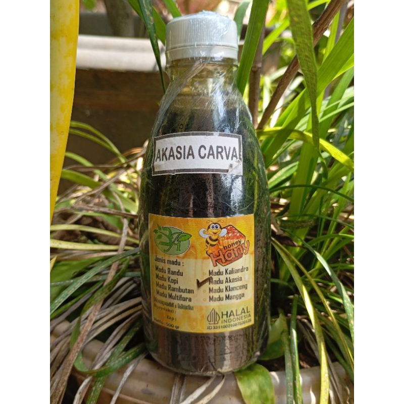

Madu Hitam murni akasia carva
