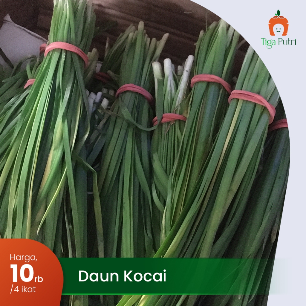 

Sayur Daun Kucai Fresh 100% alami