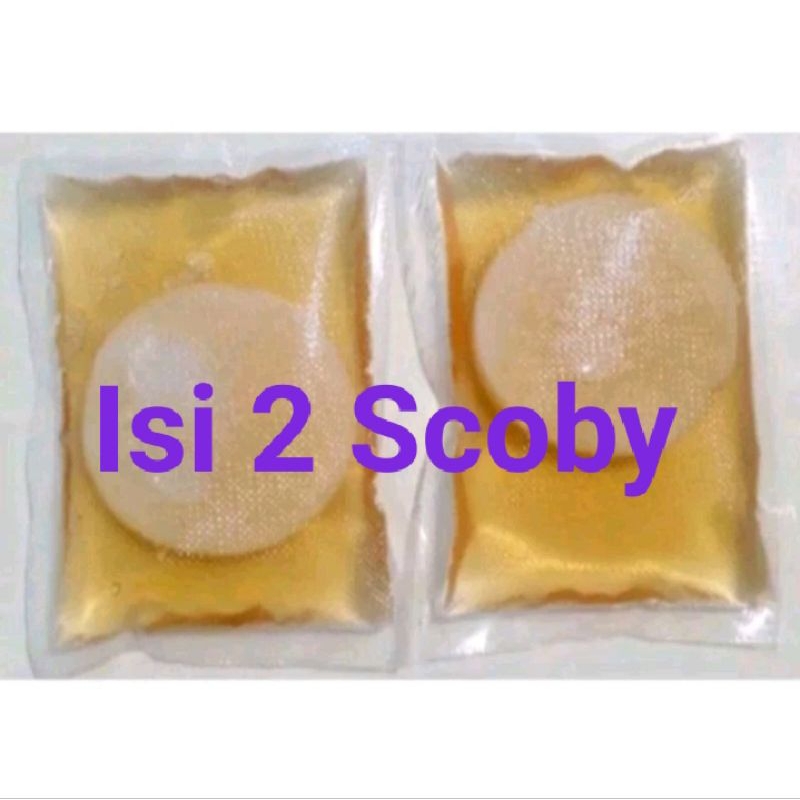 

Scoby Bibit Kombucha ukuran diameter 5 cm isi 2 plus starter 75 ml