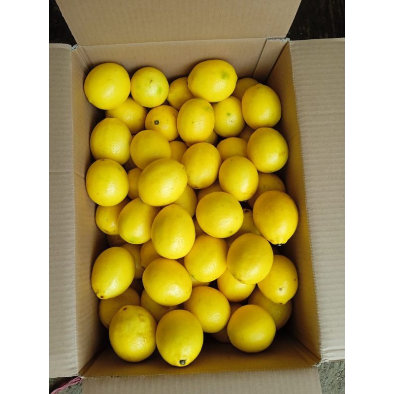 

Jeruk lemon California premium MGT LEMON