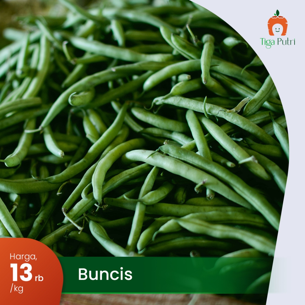 

Buncis Sayuran Sehat & Segar