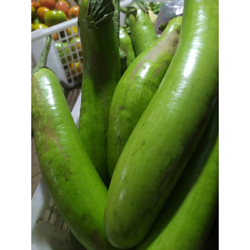 

terong hijau 1kg