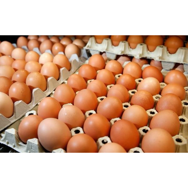 

telur ayam omega (1 kg)