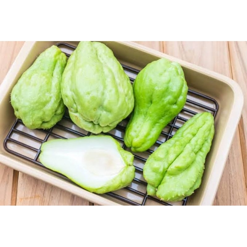 

LABU SIAM SEGAR