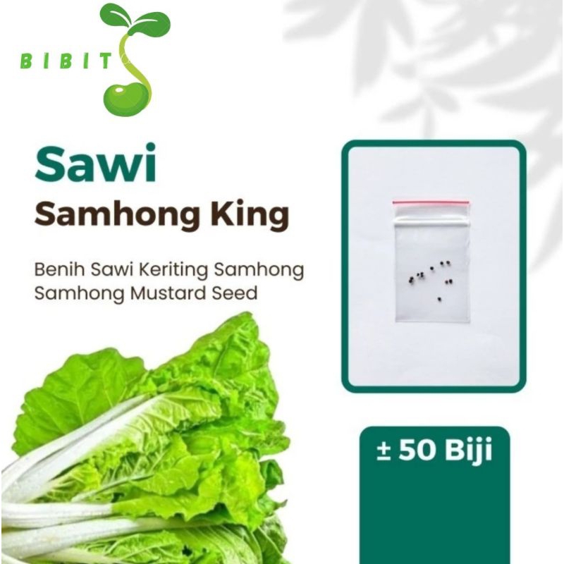 50 Benih Sawi Keriting Samhong King F1 Know You Seed Bibits