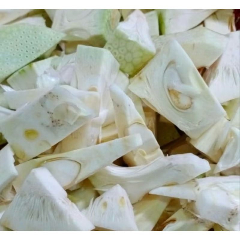 nangka muda/tewel/gori