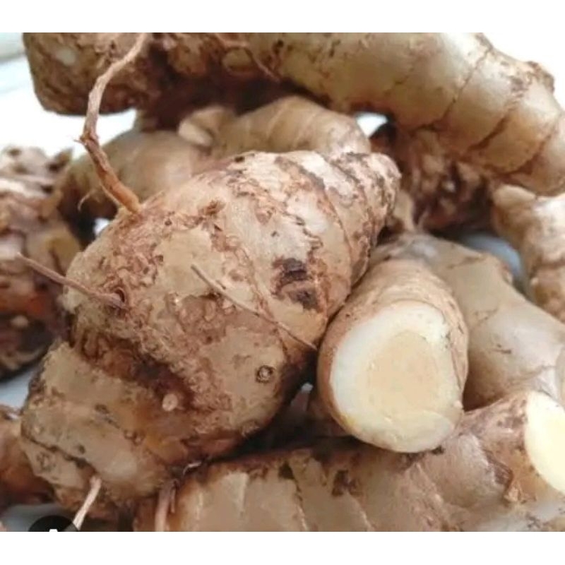 

KUNIR PUTIH KUNYIT PUTIH ORGANIK ALAMI 1KG