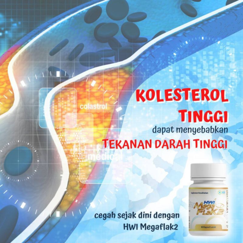 MEGAFLAK2 100℅ ORIGINAL HWI/VITAMIN OTAK