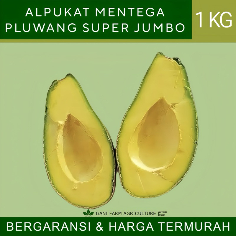 

ALPUKAT MENTEGA SUPER JUMBO 1 KG BERGARANSI. ISI 1-3. ALPUKAT PLUWANG