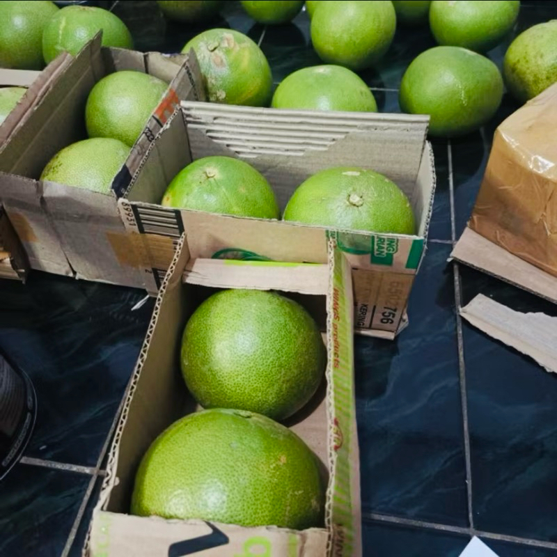 

BELI 1 GRATIS 1 : JERUK PAMELO MADU MURIA