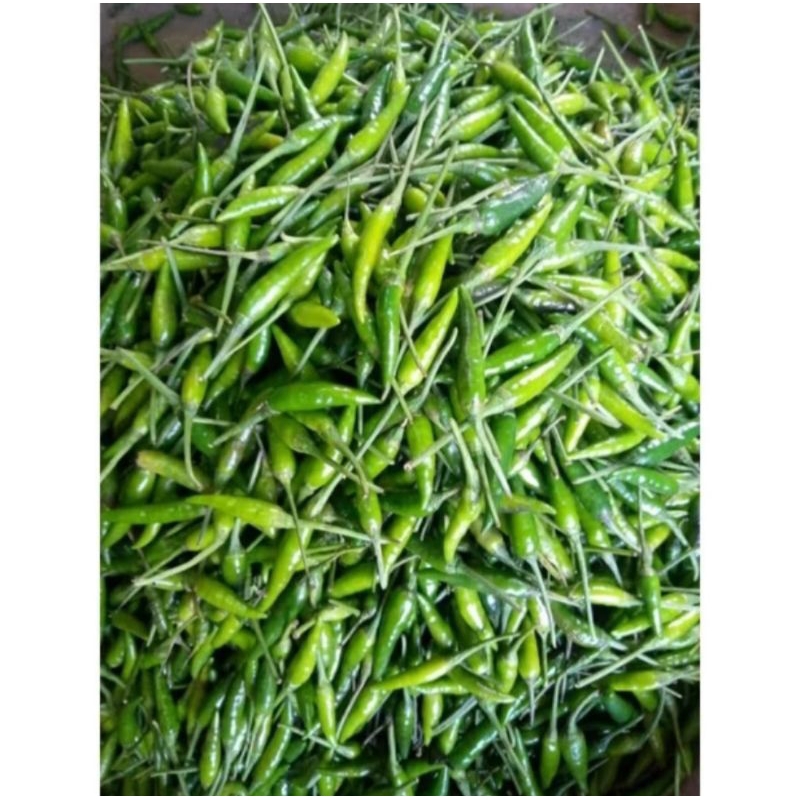 

cabe rawit hijau segar 1kg murah