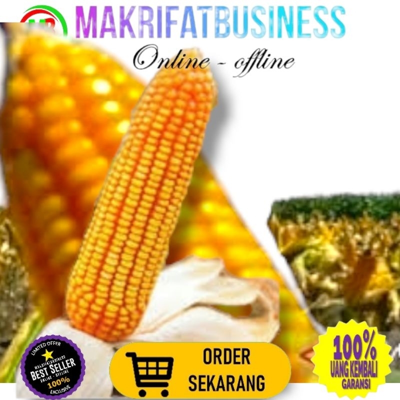 

MAKRIFATBUSINESS Paket 50 kg JAGUNG PIPIL HIBRIDA Kwalitas Bersih Untuk Konsumsi Pakan Ternak Bibit Serta Keperluan lainnya