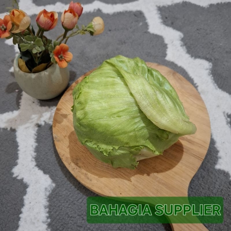 

Lettuce Iceberg 500gr / 1kg