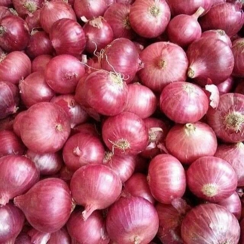 

1kg Bawang merah brambang - Surabaya