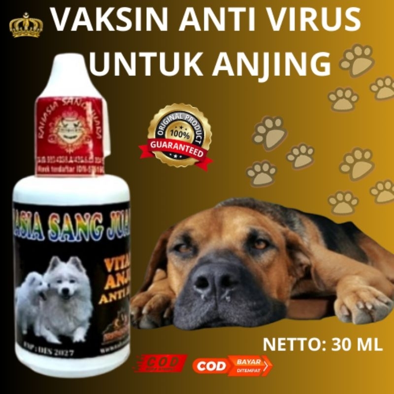 VAKSIN ANTI VIRUS UNTUK HEWAN ANJING