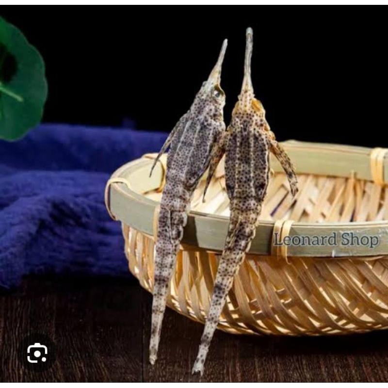 

Hai Yan Zi Super Khasiat KUDA LAUT DAN NAGA LAUT