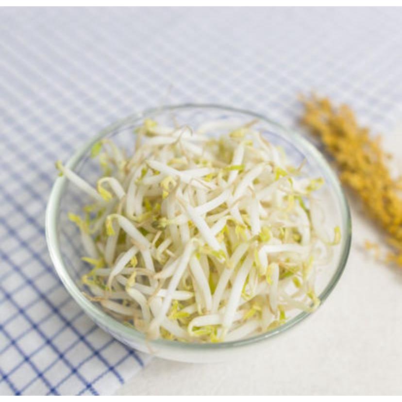 

Kecambah Tauge Segar 100gr – Renyah, Sehat, Sumber Gizi untuk Salad dan Tumisan – Pengiriman Instan