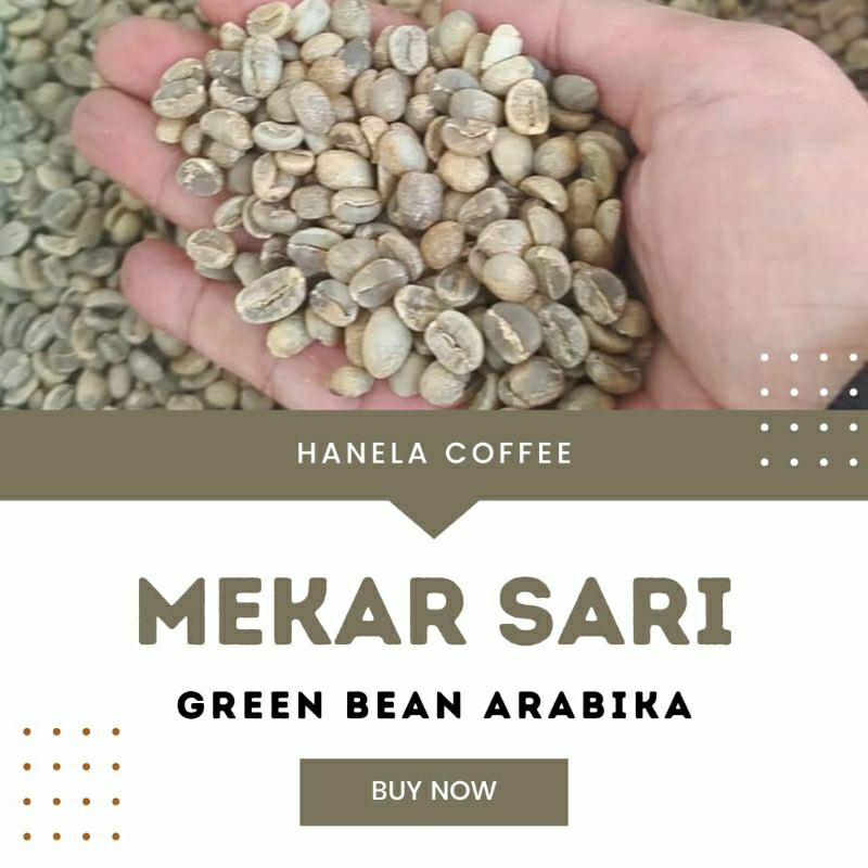 

GREEN BEAN KOPI BIJI KOPI ARABIKA MEKAR SARI HANELA COFFEE
