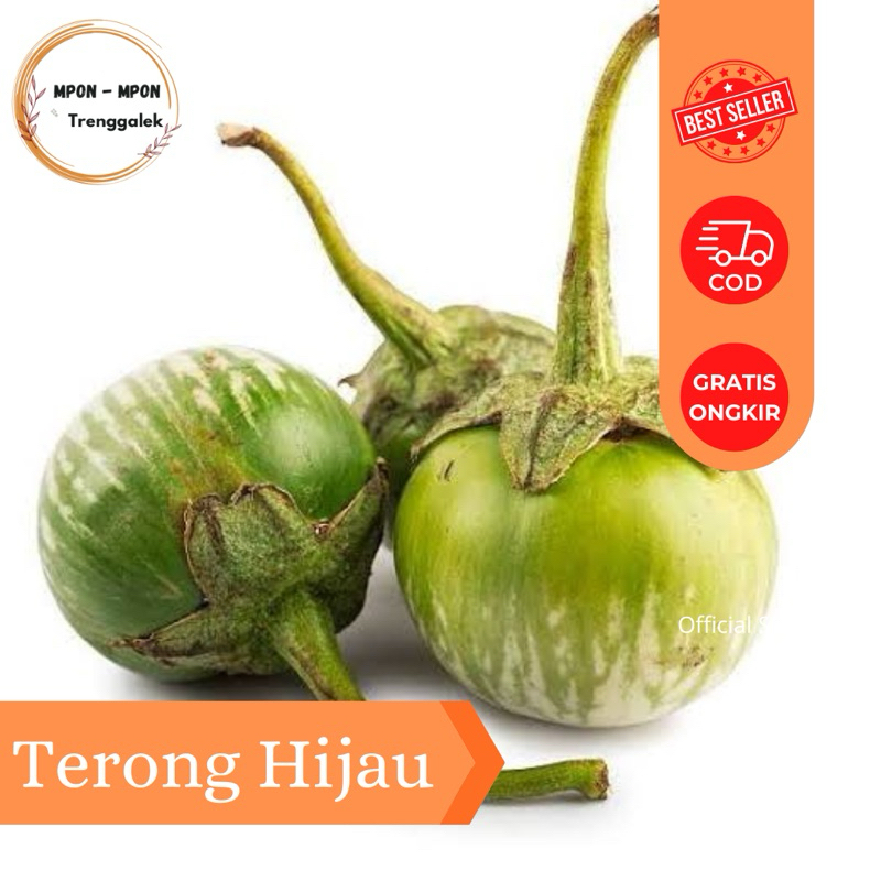 

Terong Lalap Terong Bulat Segar 1kg
