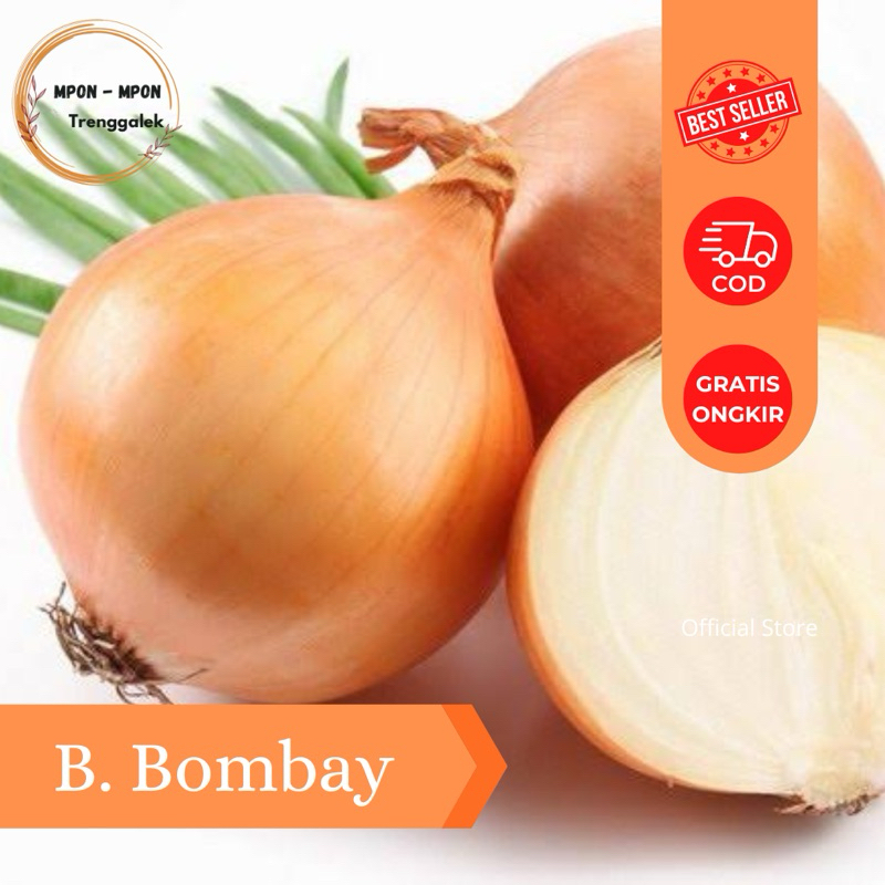 

Bawang Bombay Segar Satuan