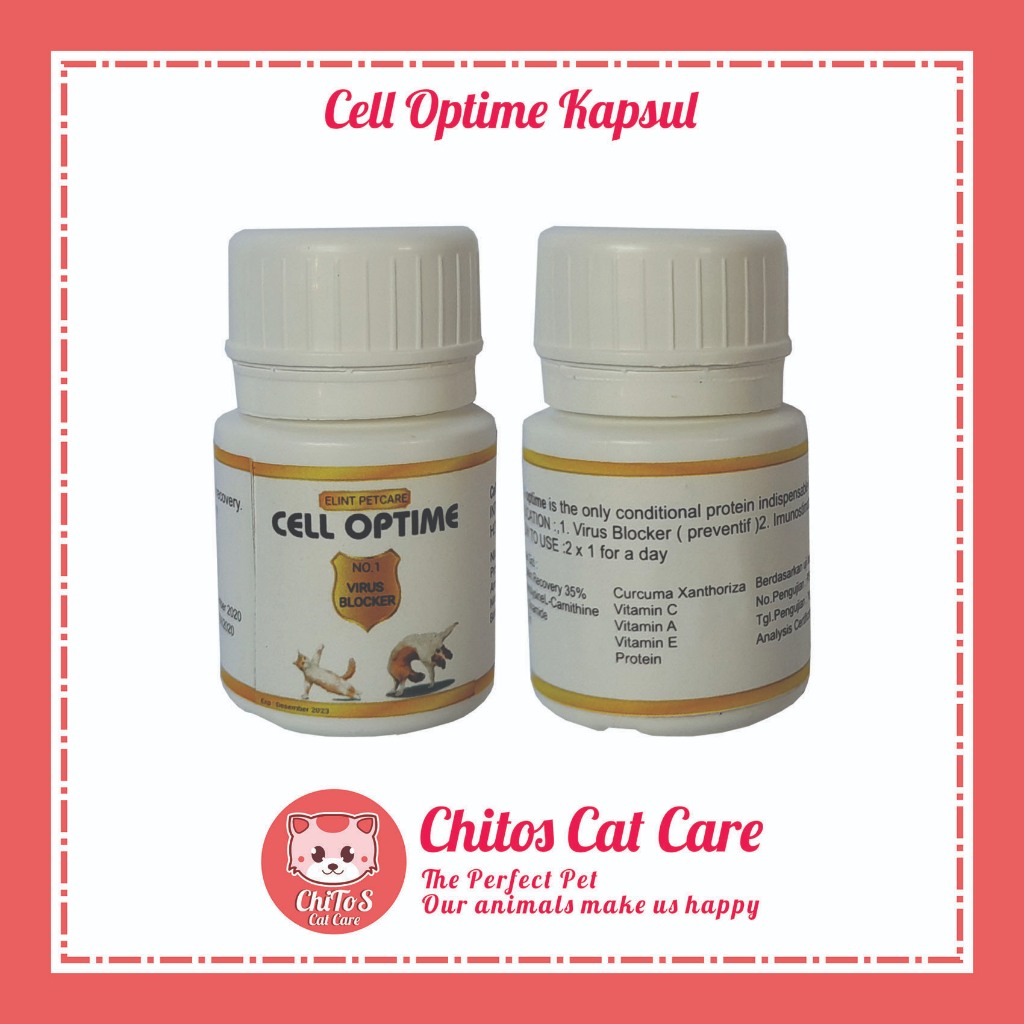 CELL OPTIME CAT RECOVERY ANTIVIRUS KUCING OBAT VIRUS KUCING 20 Kapsul