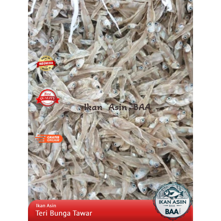 

Ikan Asin Teri Bunga Tawar Lampung | Teri Tawar | Ikan Teri | Teri Lampung