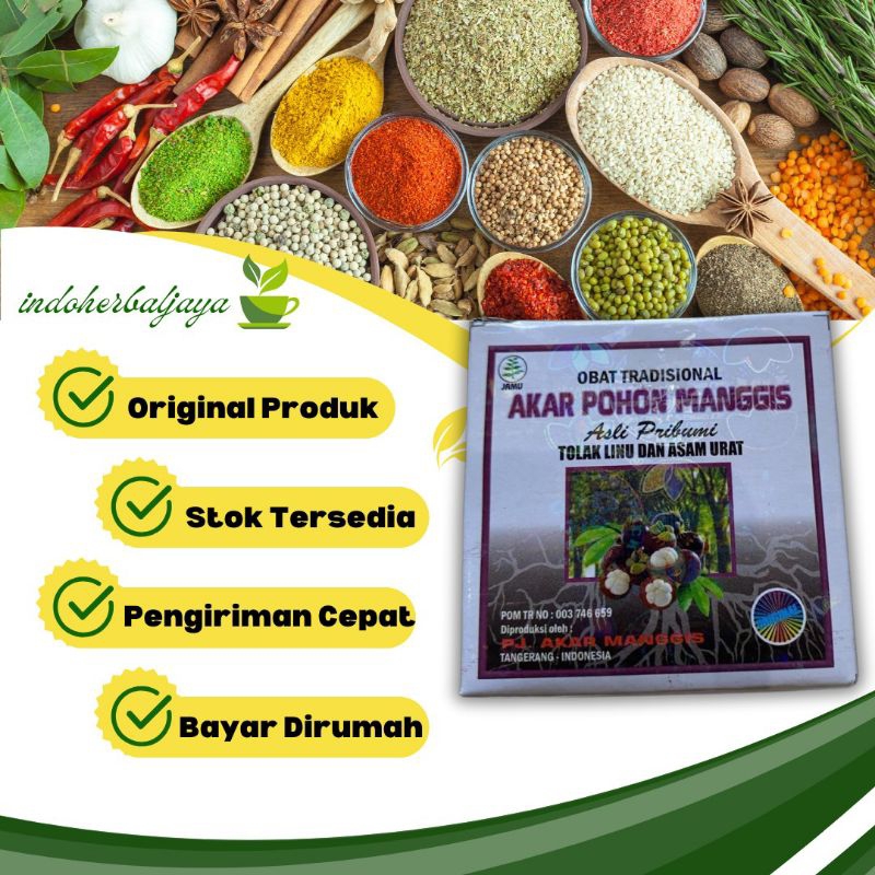 

Kapsul Akar Pohon Manggis Original 1 Box