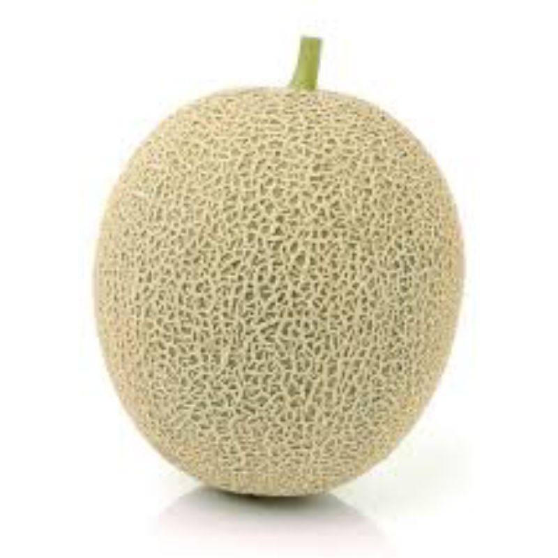 

buah melon segar